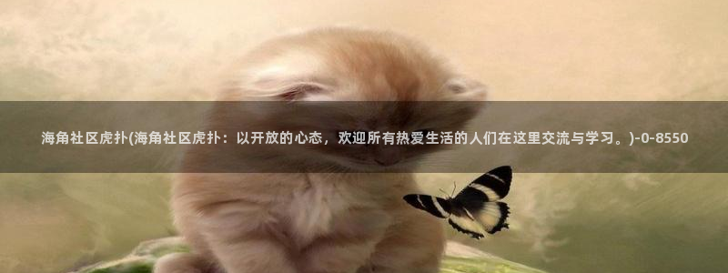 海角社区hja4bb：海角社区虎扑(海角社区虎扑：以开放的心态，欢迎所有热爱生活的人们在这里交流与学习。)