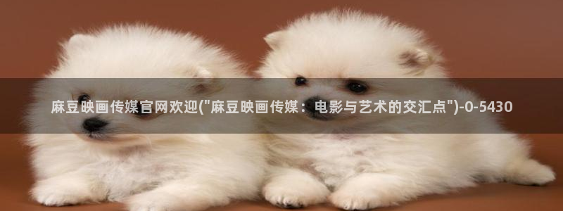 麻豆床传媒映画官网：麻豆映画传媒官网欢迎(\