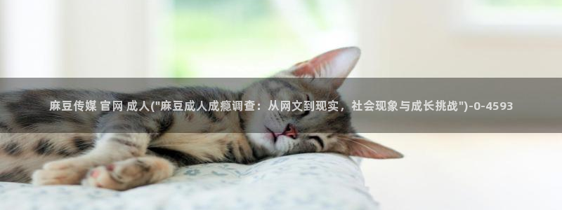 麻豆传媒电影官网：麻豆传媒 官网 成人(\
