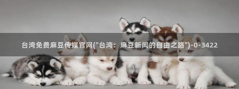 国产之光 麻豆传媒官网：台湾免费麻豆传媒官网(\
