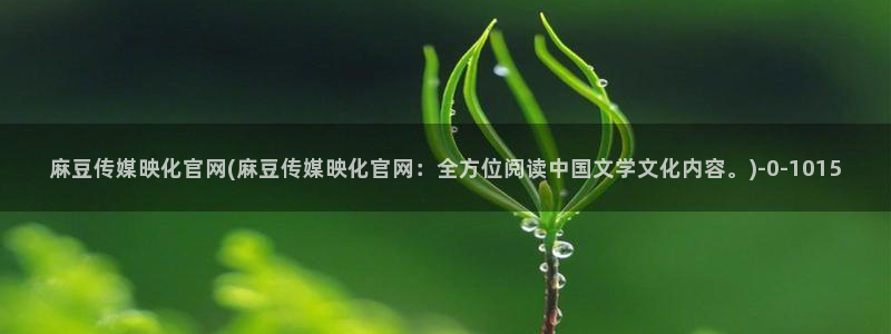 麻豆京东果冻传媒官网：麻豆传媒映化官网(麻豆传媒映化官网：全方位阅读中国文学文化内容。)