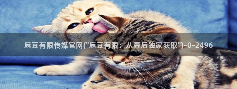 绿茶视频麻豆传媒官网：麻豆有限传媒官网(\