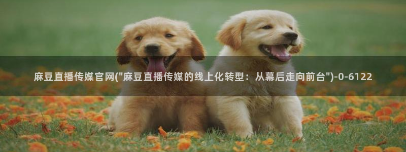 麻豆传媒官网介绍：麻豆直播传媒官网(\