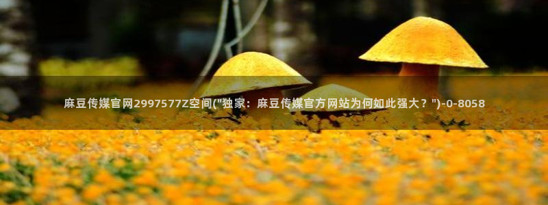 麻豆腐传媒官网：麻豆传媒官网2997577Z空间(\