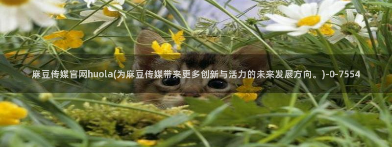 麻豆性传媒官网：麻豆传媒官网huola(为麻豆传媒带来更多创新与活力的未来发展方向。)