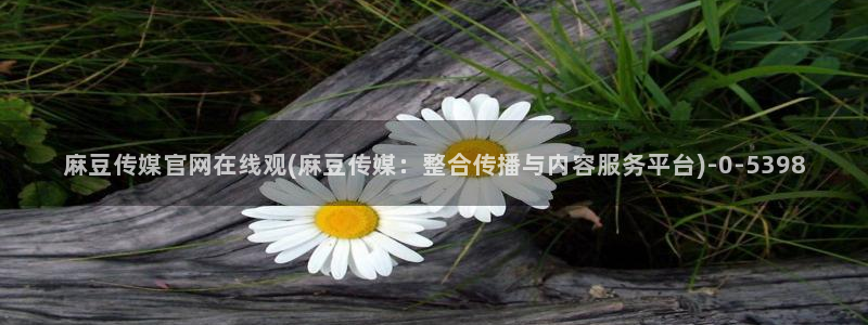 麻豆视传媒短网站官网：麻豆传媒官网在线观(麻豆传媒：整合传播与内容服务平台)