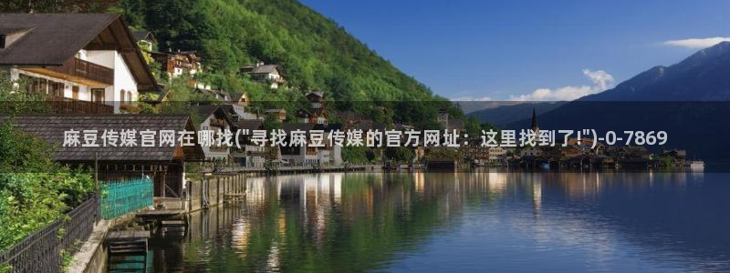 麻豆豆传媒官网：麻豆传媒官网在哪找(\