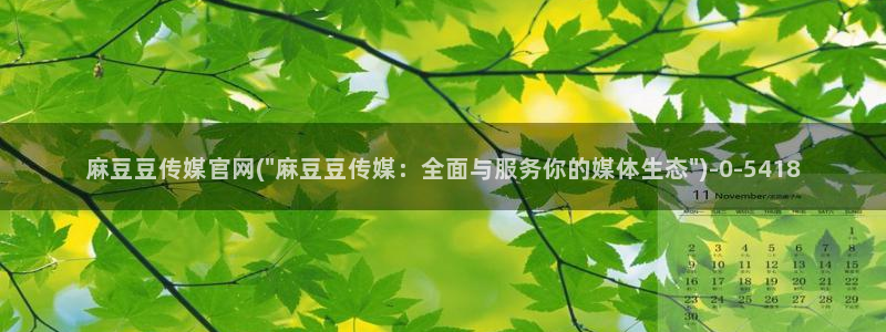 麻豆传媒官网账号：麻豆豆传媒官网(\