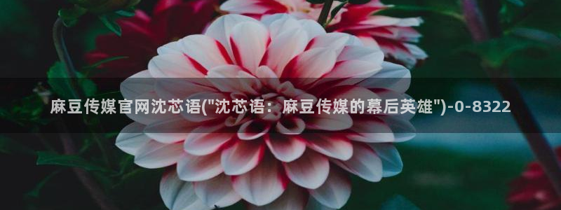 麻豆传媒官网直：麻豆传媒官网沈芯语(\