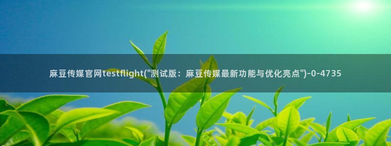 麻豆自制传媒官网多少：麻豆传媒官网testflight(\