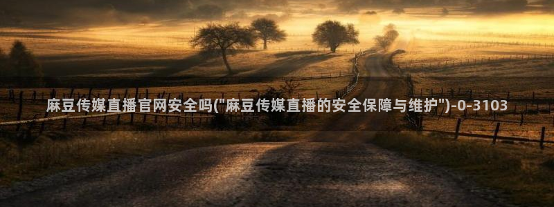 麻豆传媒自制官网