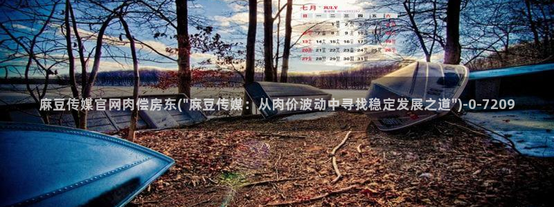 麻豆传媒映化官网：麻豆传媒官网肉偿房东(\