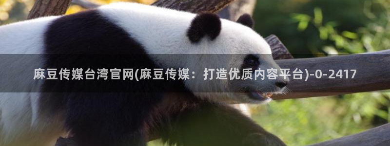 麻豆传媒直播app官网：麻豆传媒台湾官网(麻豆传媒：打造优质内容平台)