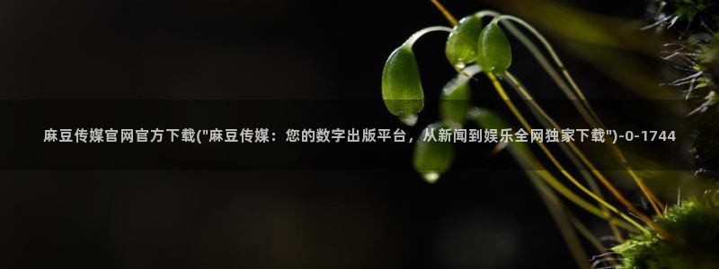 麻豆传媒官网论坛