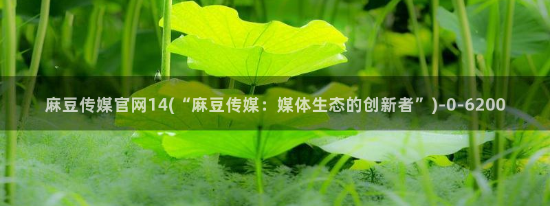 麻豆传媒自制官网