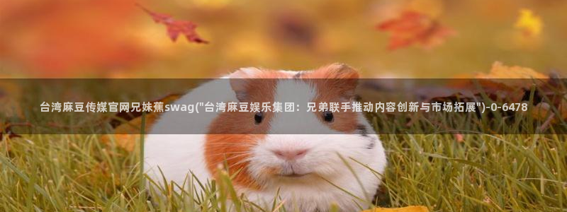 麻豆传媒国产之光官网